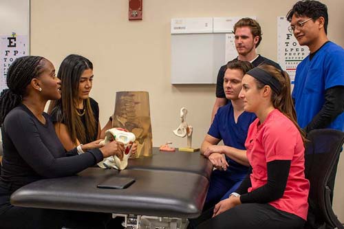 Physical Therapy Program Rises
