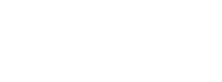 graphical icon for 29 percent