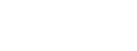 graphical icon for 29 percent