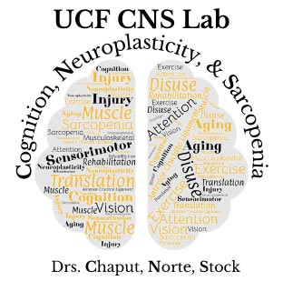 CNS Lab Logo 