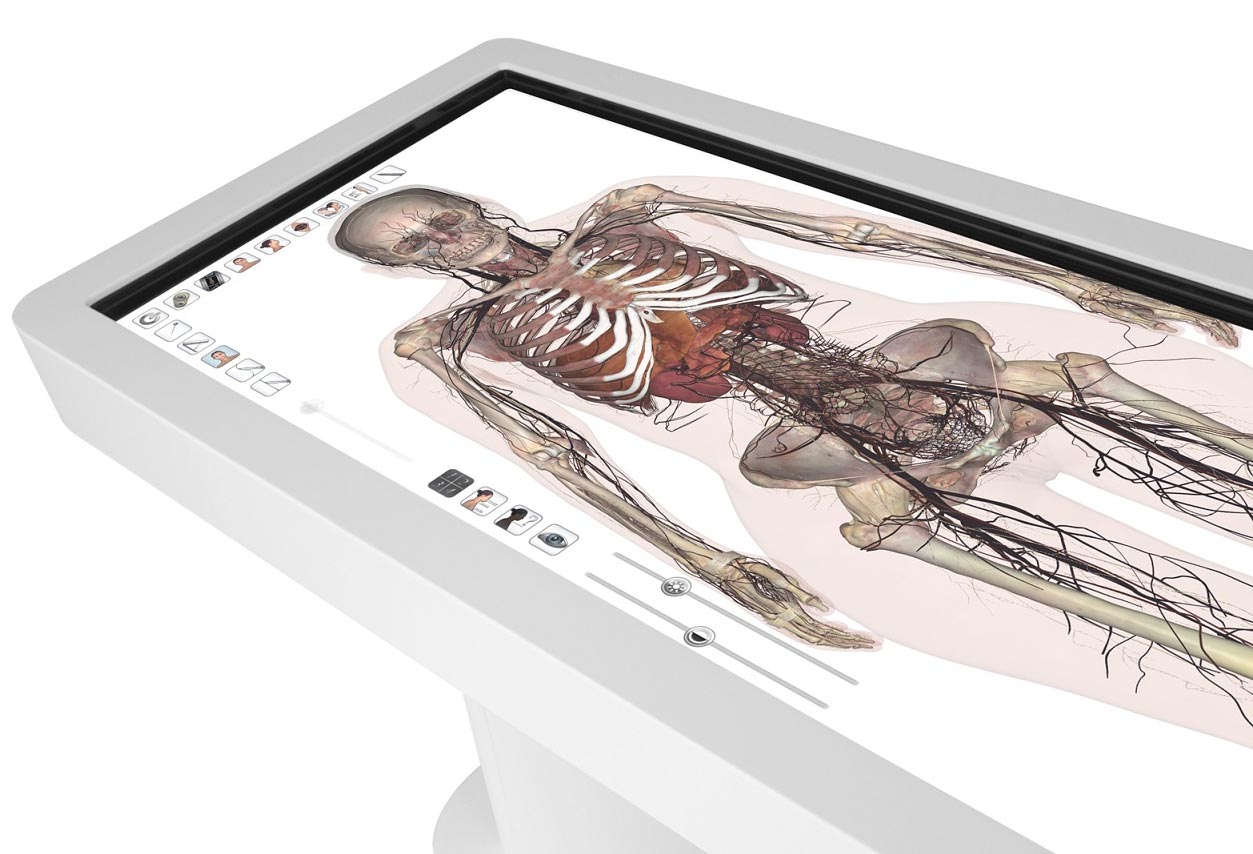 DPT Acquires Anatomage Table