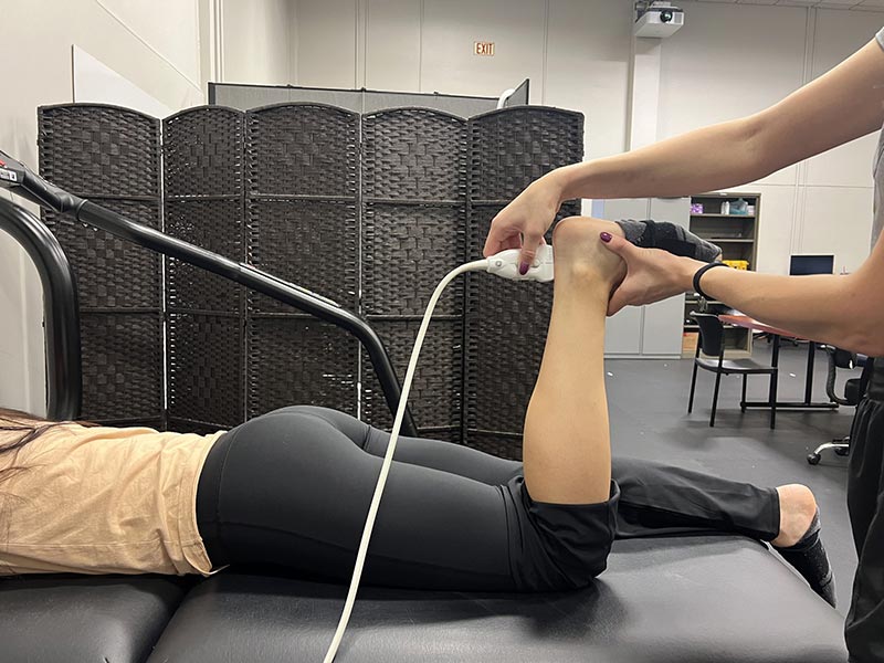 Relationships between properties of the musculotendinous unit and isometric strength assessments in the plantar flexors