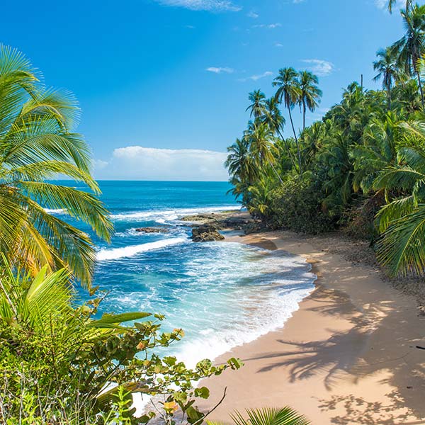 Wild caribbean beach of Manzanillo at Puerto Viejo, Costa Rica