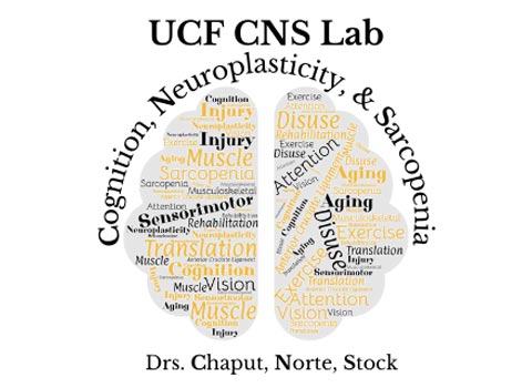 Cognition, Neuroplasticity, & Sarcopenia (CNS) Lab