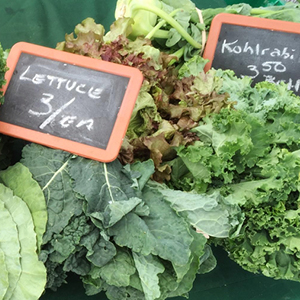 How Food Insecurity May Harm 5-Year-Olds