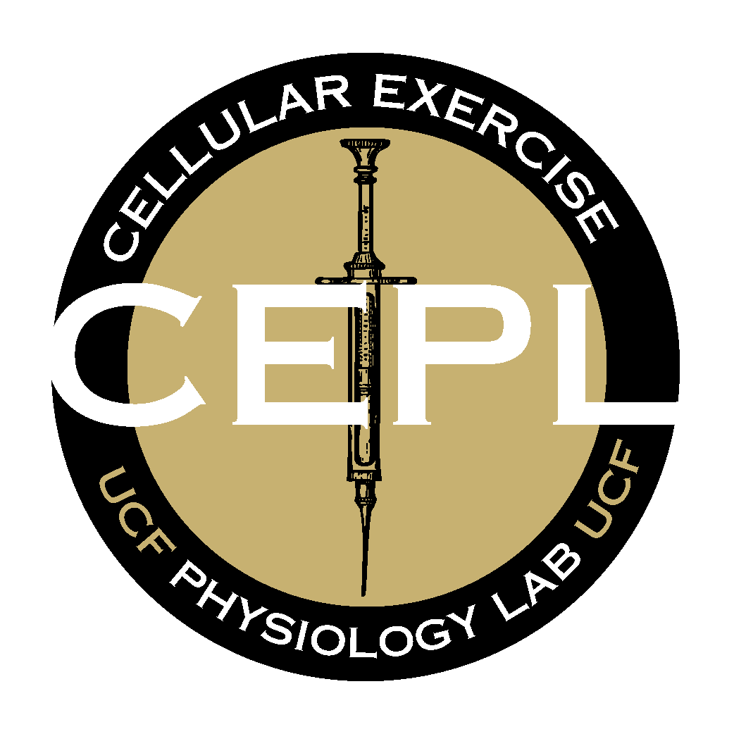 Cellular Dynamics in Older Adults