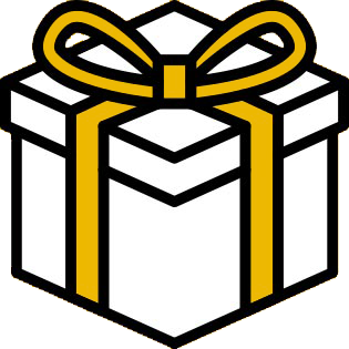 Gift box icon